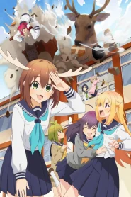 Shikanoko Nokonoko Koshitantan – Todos os Episódios