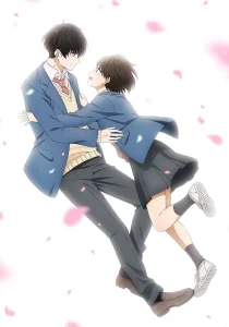 Hananoi-kun to Koi no Yamai – Todos os Episódios